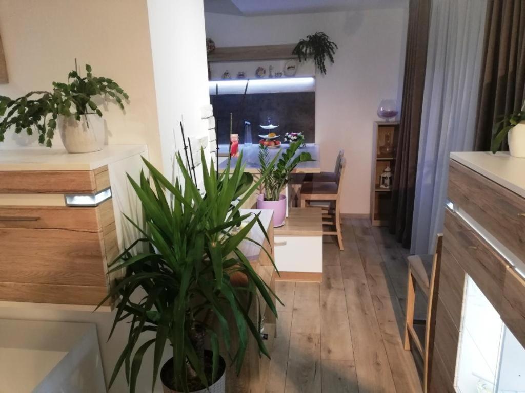 Appartamento Galéria šťastie Senec Esterno foto