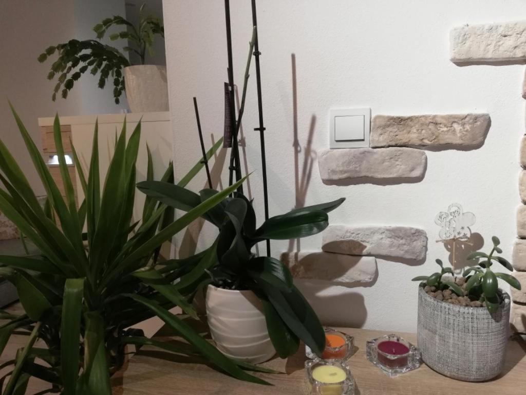 Appartamento Galéria šťastie Senec Esterno foto