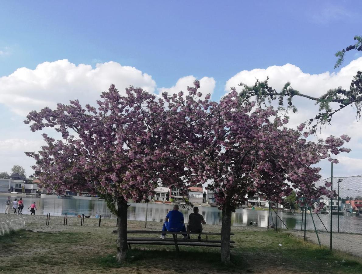 Appartamento Galéria šťastie Senec Esterno foto